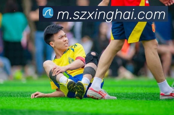 奖项证书